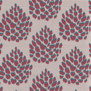 Pinecones | Plum