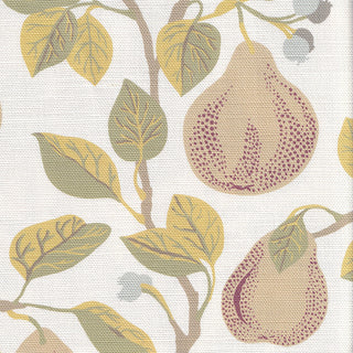 Showering Pears | Ochre