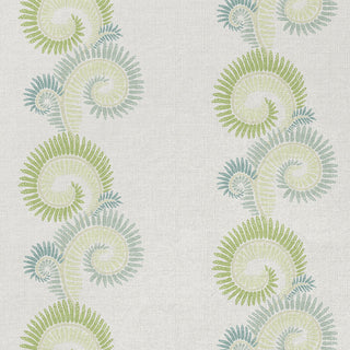 Furling Ferns | Meadow